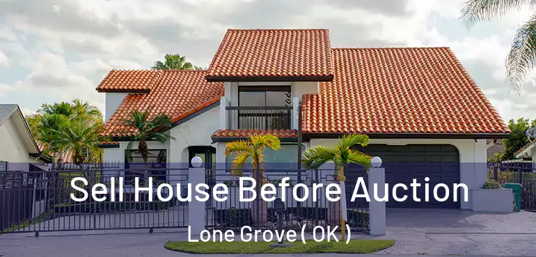  Sell House Before Auction Lone Grove ( OK )