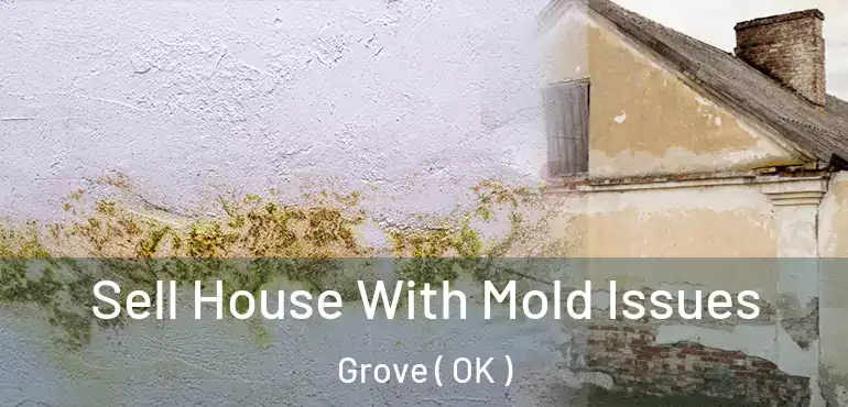  Sell House With Mold Issues Grove ( OK )